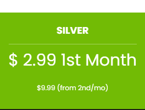 Silver Package